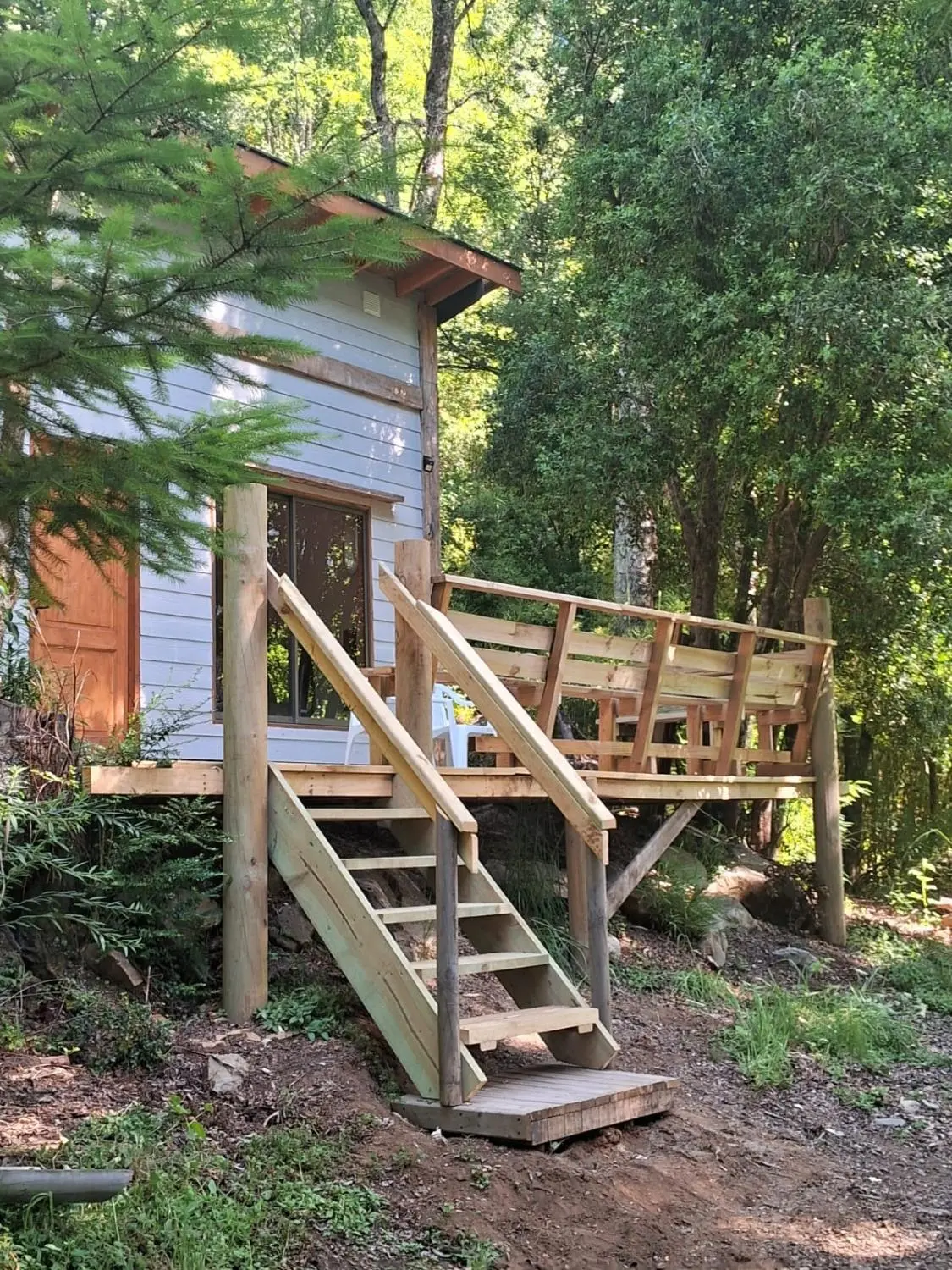 Cabañas en Pucón Palguín — foto principal