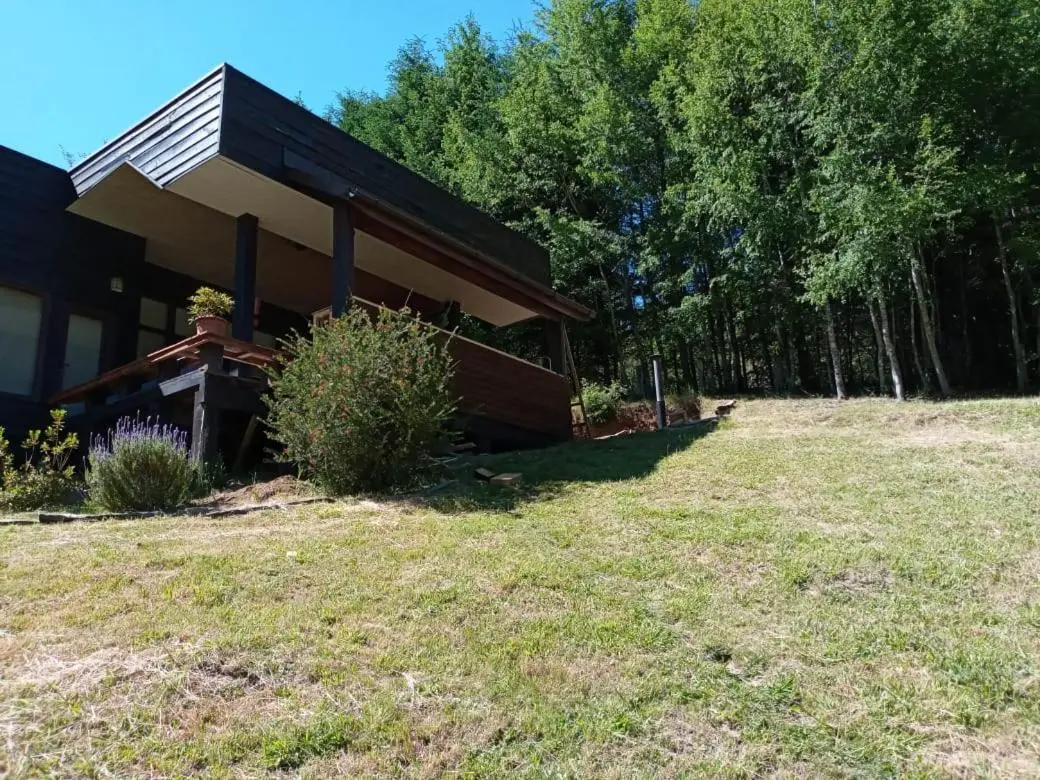 Casa Pucón Laguna Ancapulli — foto secundaria