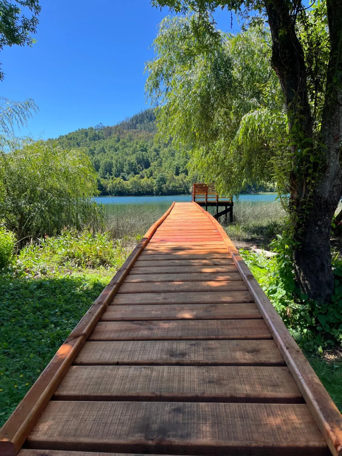 Cabaña río Calle Calle — foto interior