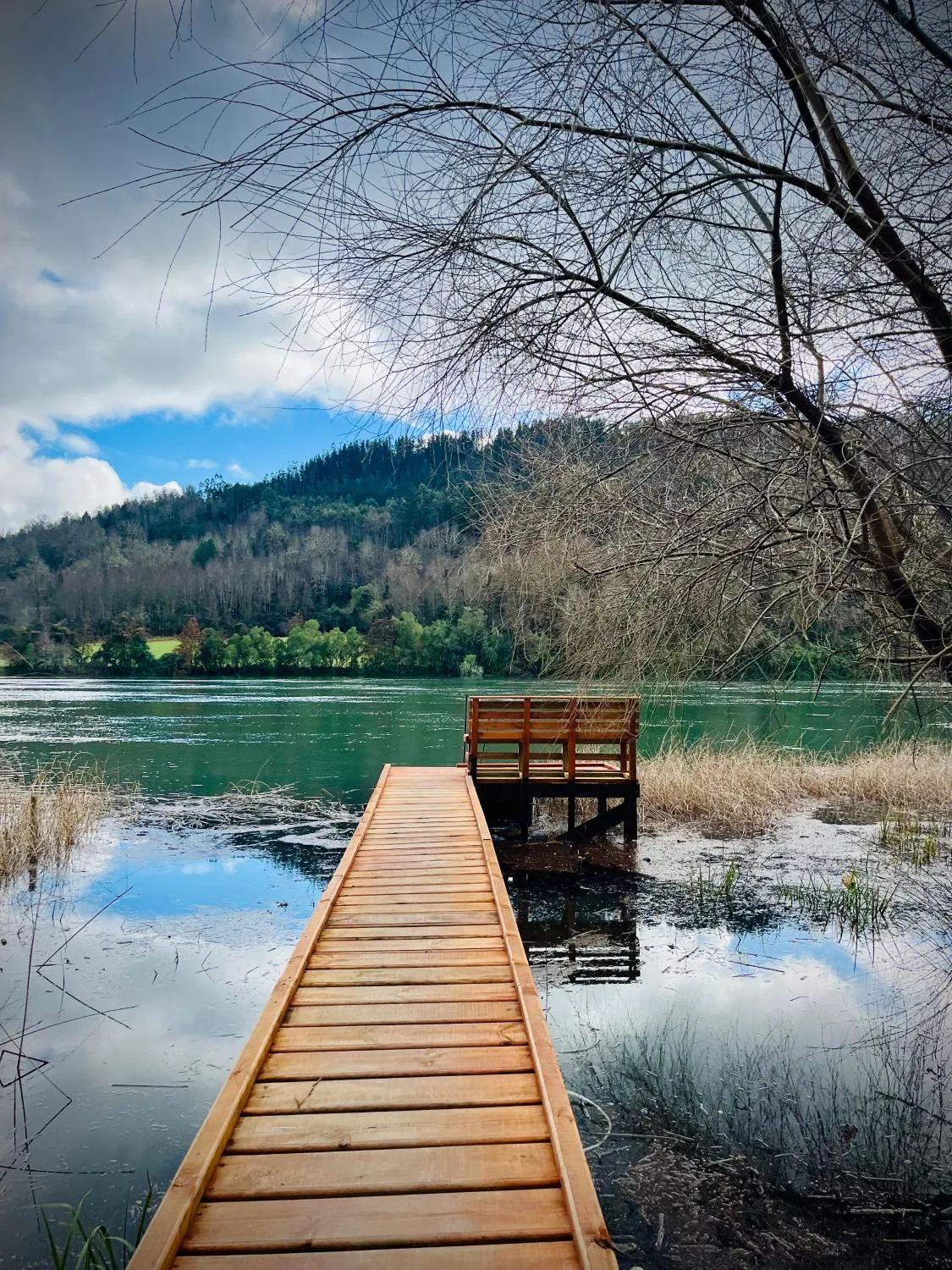 Tiny house río Calle Calle — foto interior