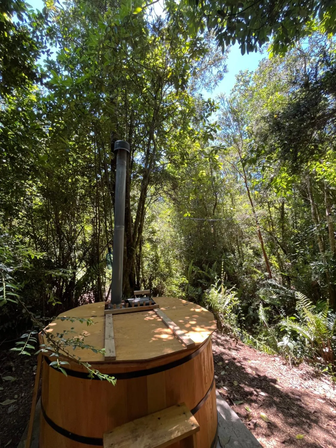 Cabañas Punucabaña — foto principal