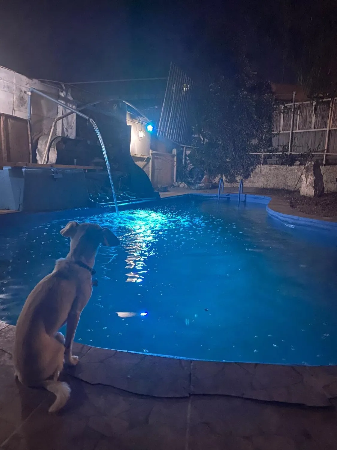 Amplia casa con piscina y vista al mar - Foto 2