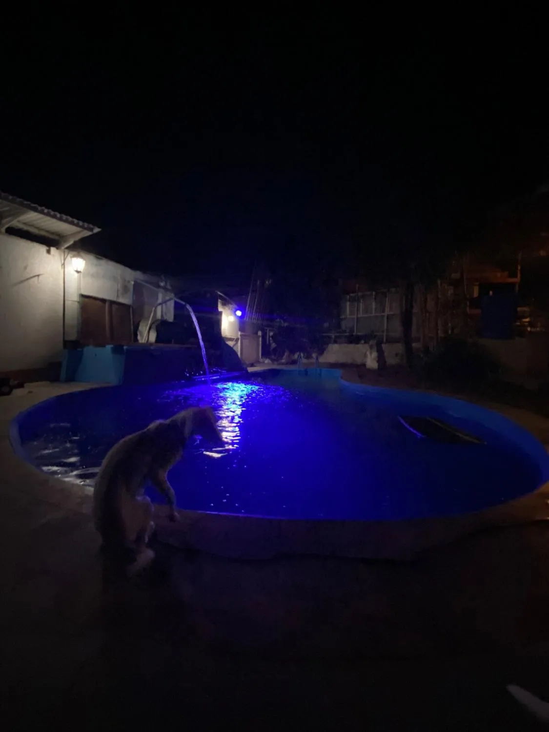 Amplia casa con piscina y vista al mar - Foto 3