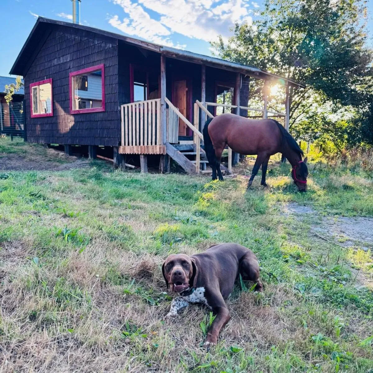 Cabaña 2 - Rancho Doble AA - Foto 3