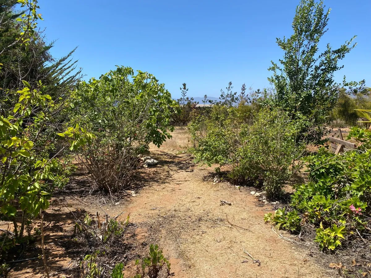 Cabaña con Piscina Guanaqueros - Foto 4