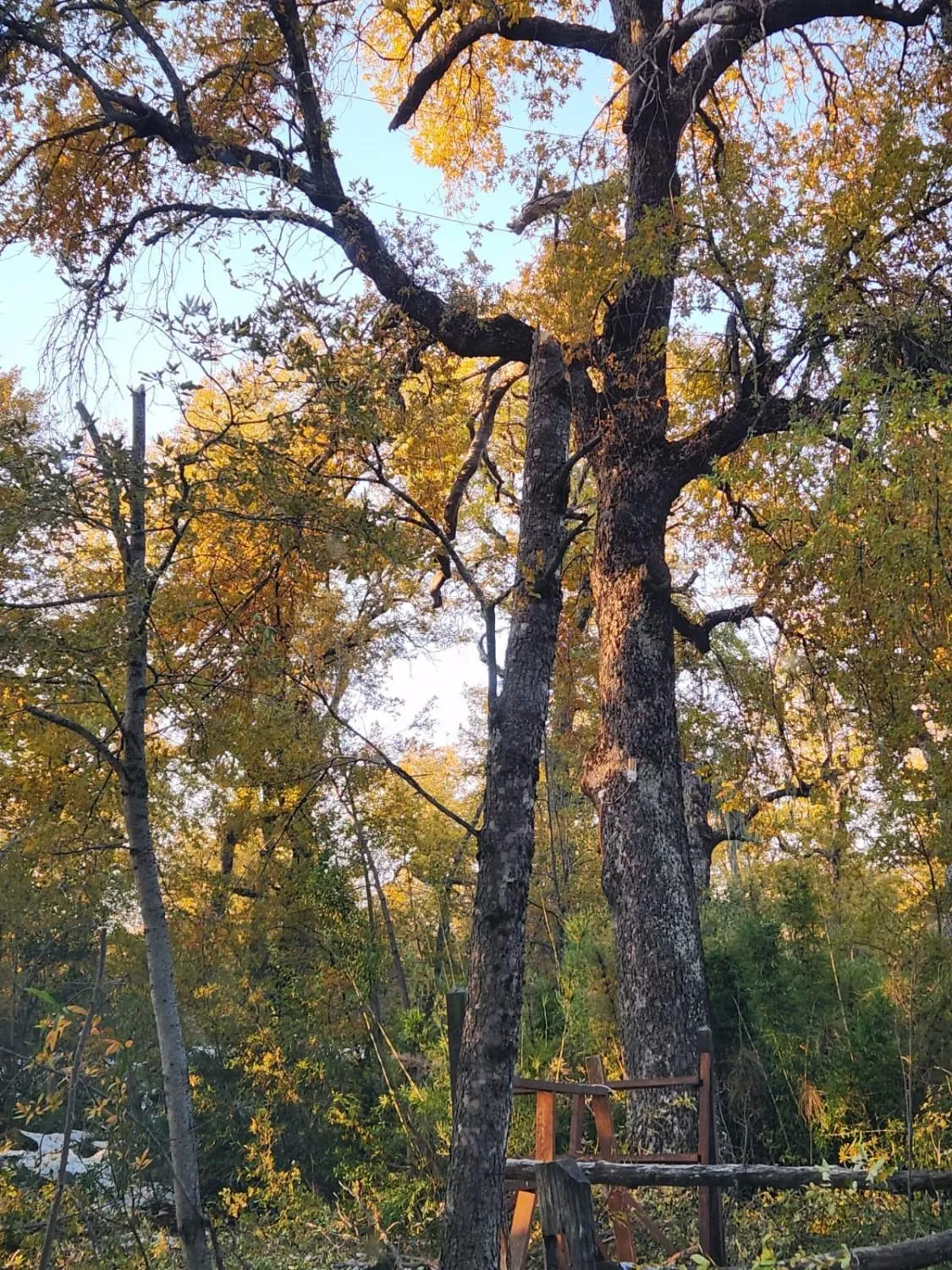 Cabaña Condominio Don Martín Chillán - Foto 4