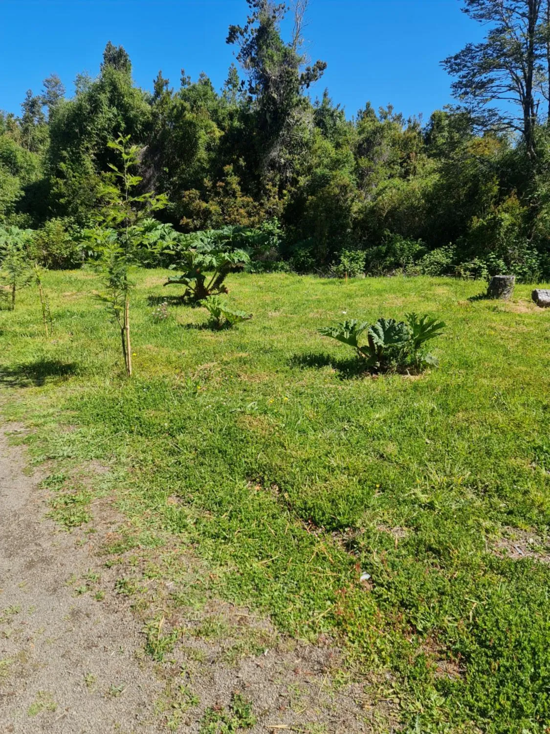 Cabaña Costabudy 2 - Foto 2