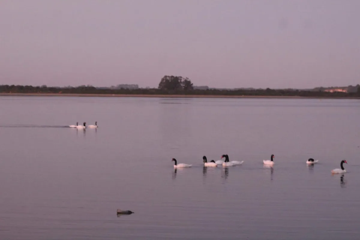 Cabaña en Caulín 1 - Foto 2