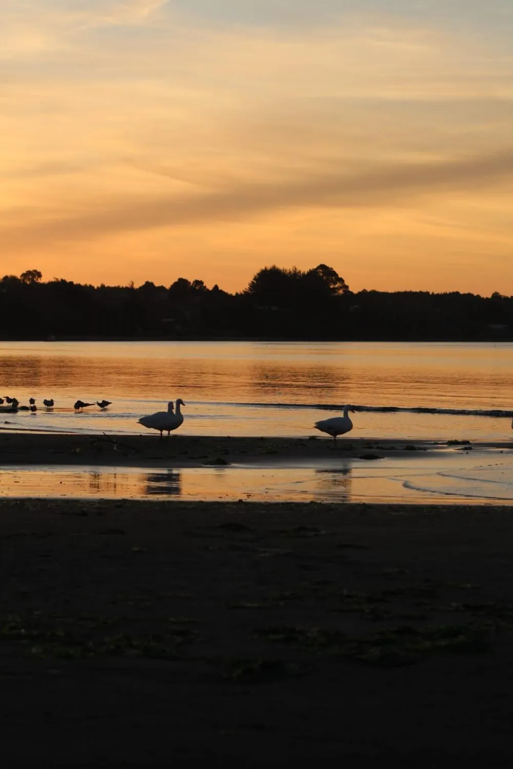Cabaña en Caulín 1 - Foto 4