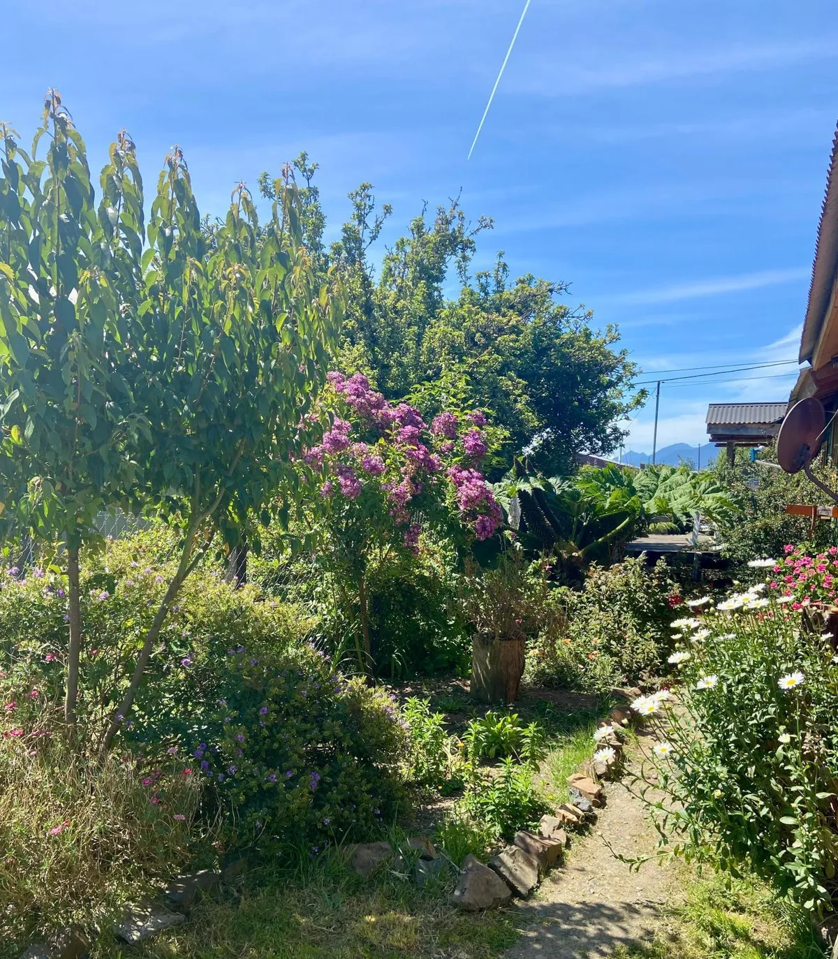 Cabaña en Contao Carretera Austral - Foto 2