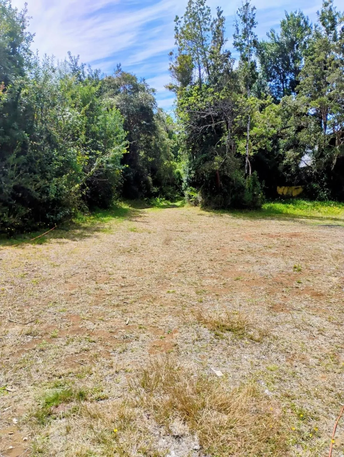 Cabaña en Curiñanco - Foto 3