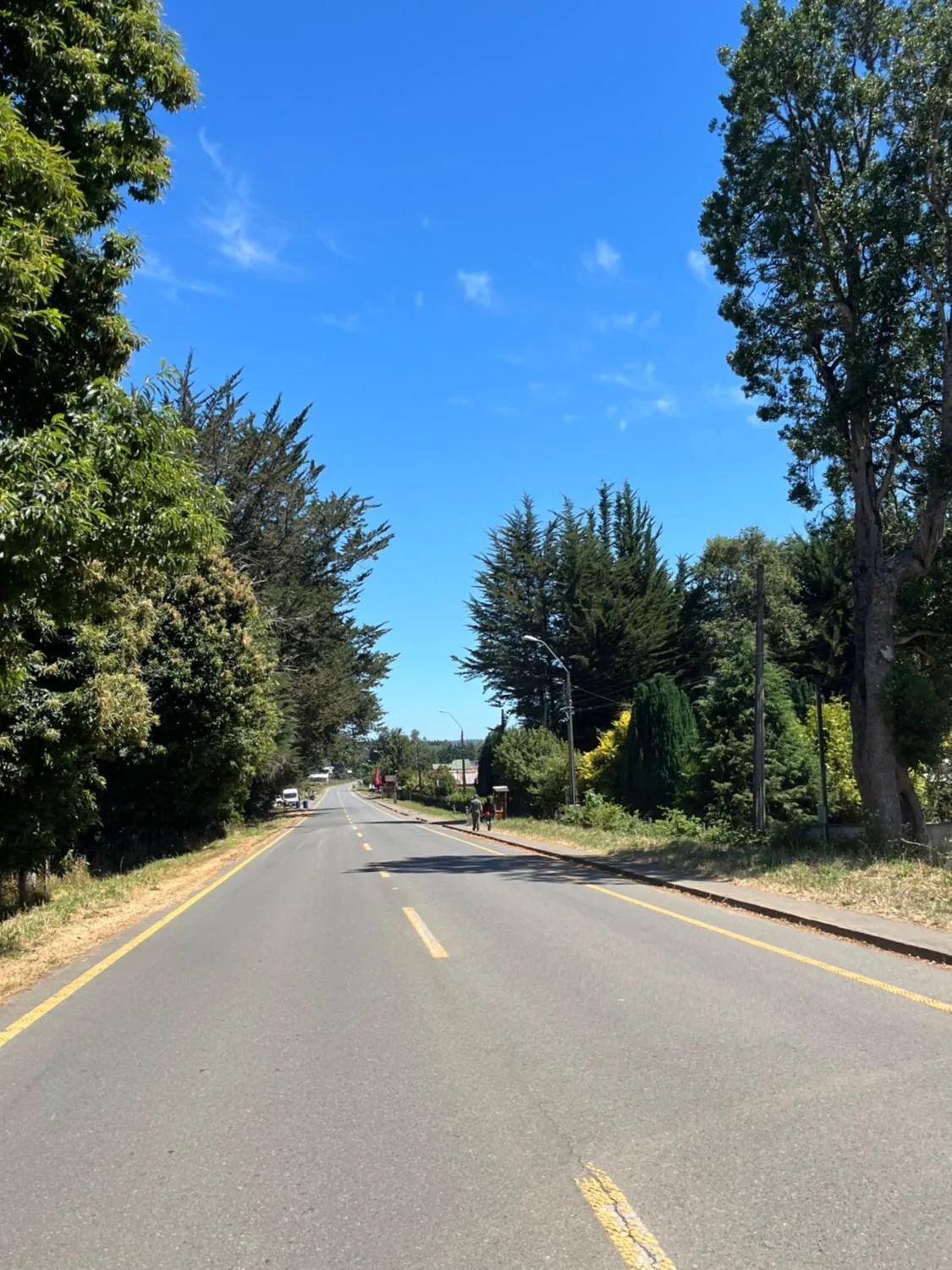 Cabaña en Puerto Nuevo, La Unión - Foto 3