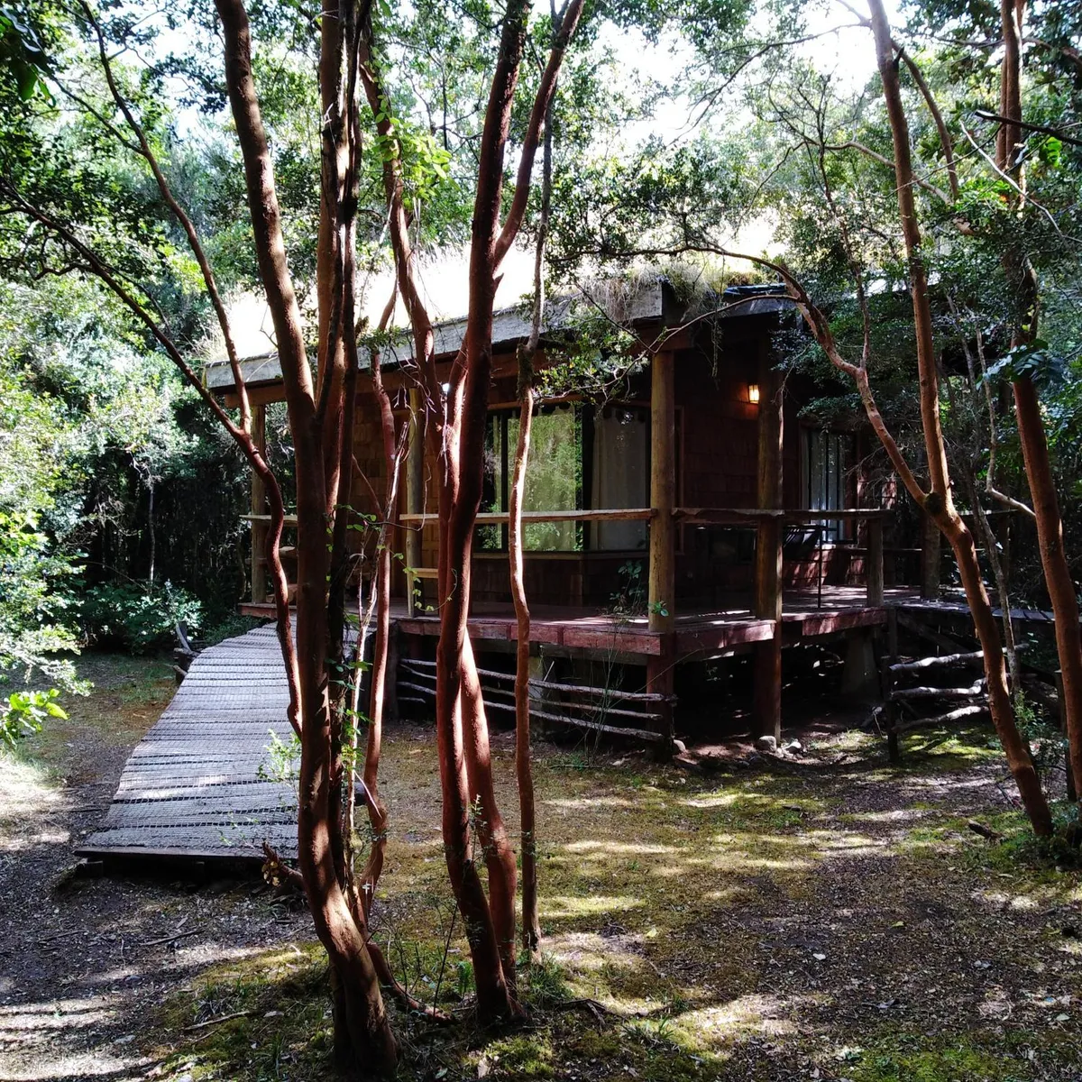 Cabaña en Río Puelo en Hornopirén - Cabaña para 4 personas