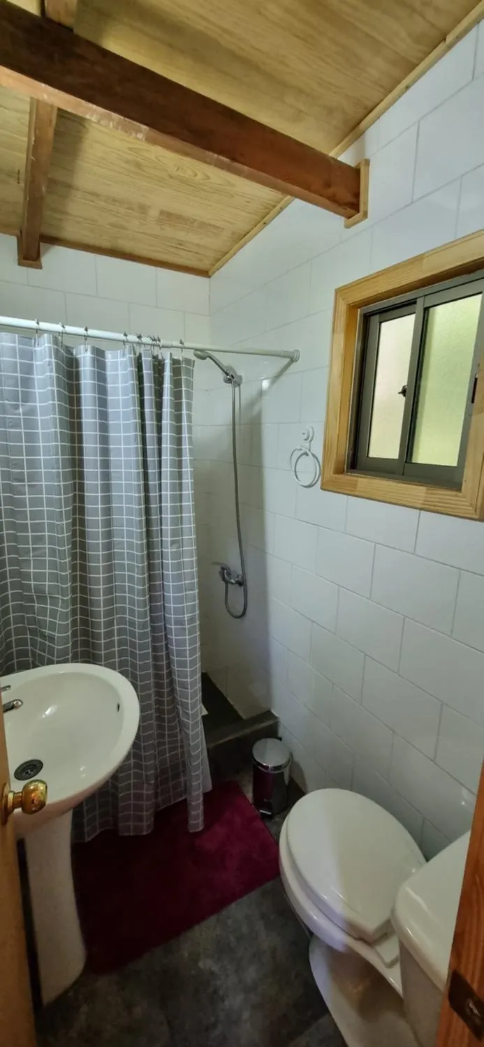 cabaña entre coihues y arrayanes - Foto 4