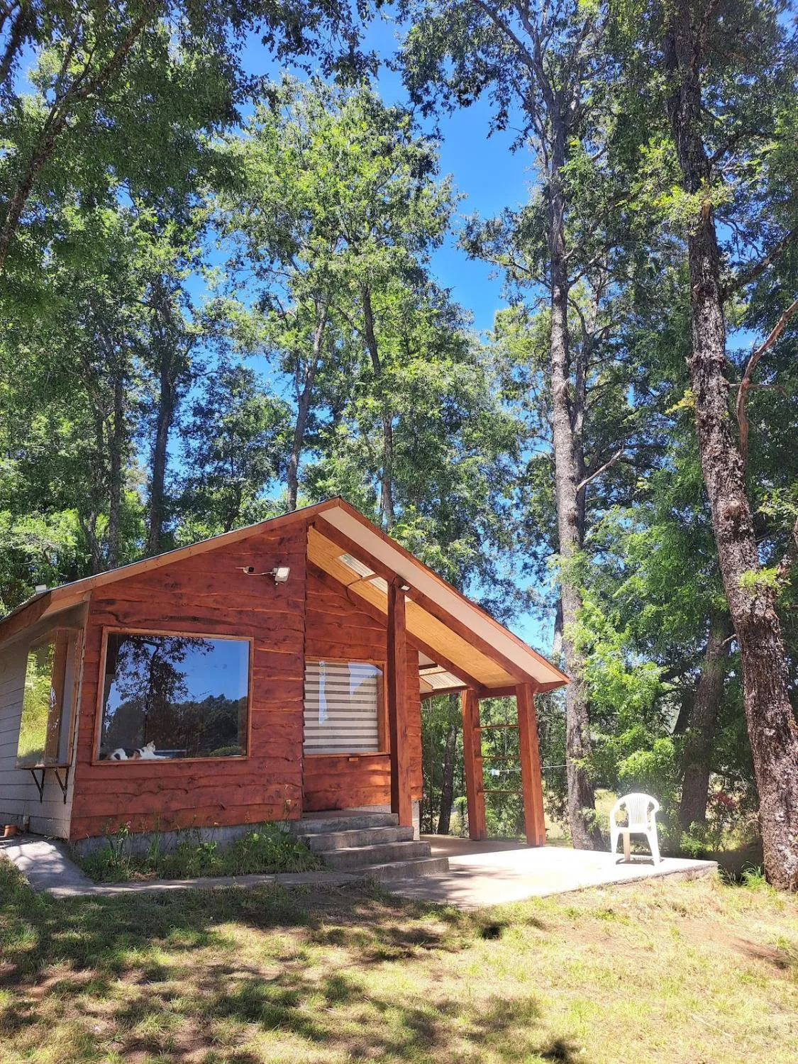 Cabaña entre Hualles en Curacautín - Cabaña para 4 personas