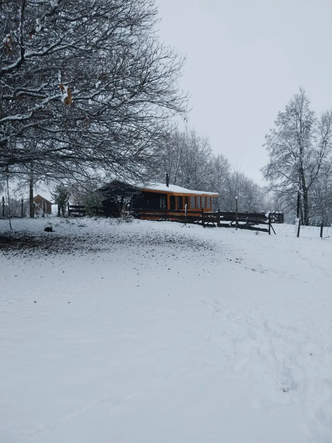 Cabaña Lefuco - Foto 2