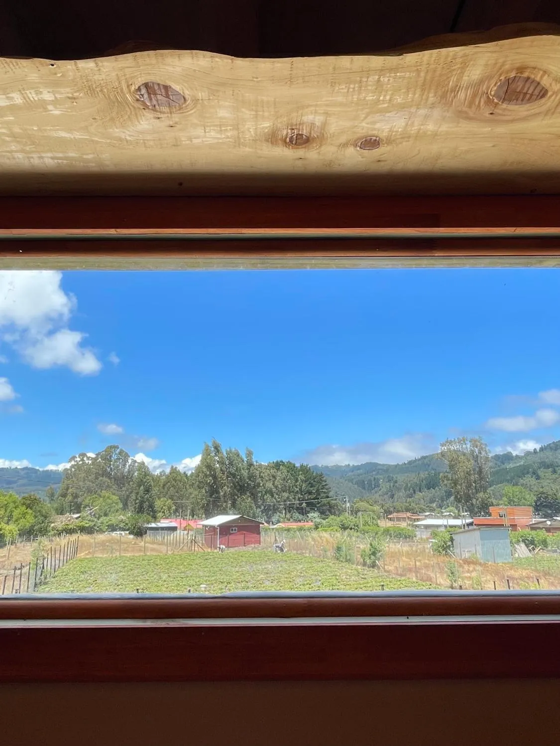 Cabaña Los Pinos Buchupureo - Foto 3