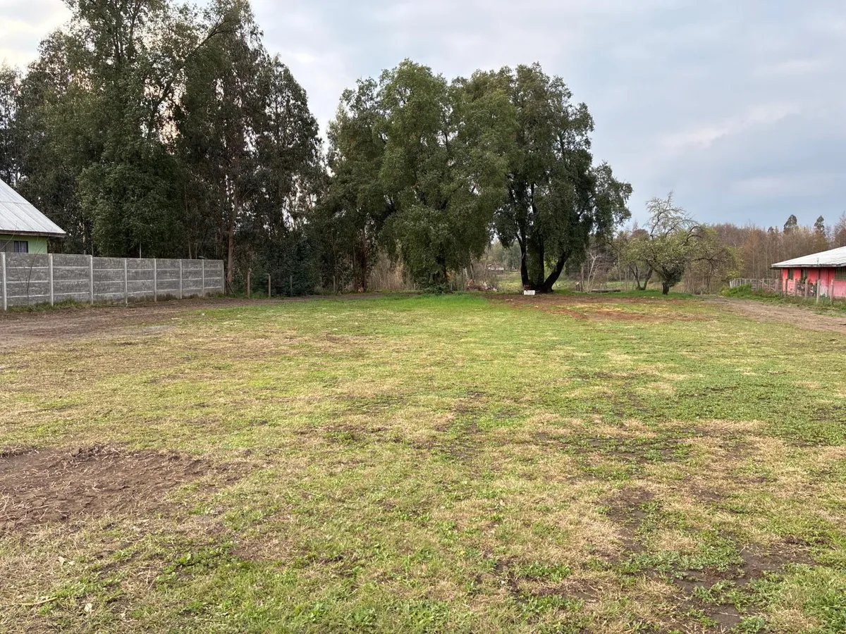 Cabaña Quillayes - Foto 3