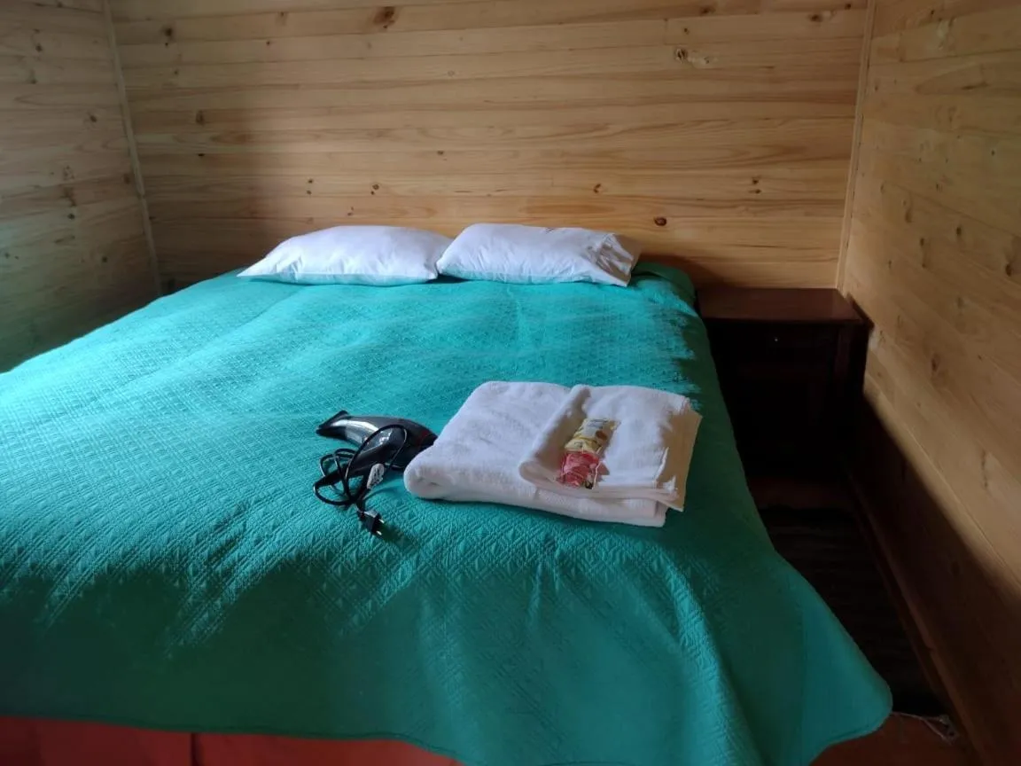 Cabaña Quintuman en Choshuenco camino Huilo Huilo - Foto 2