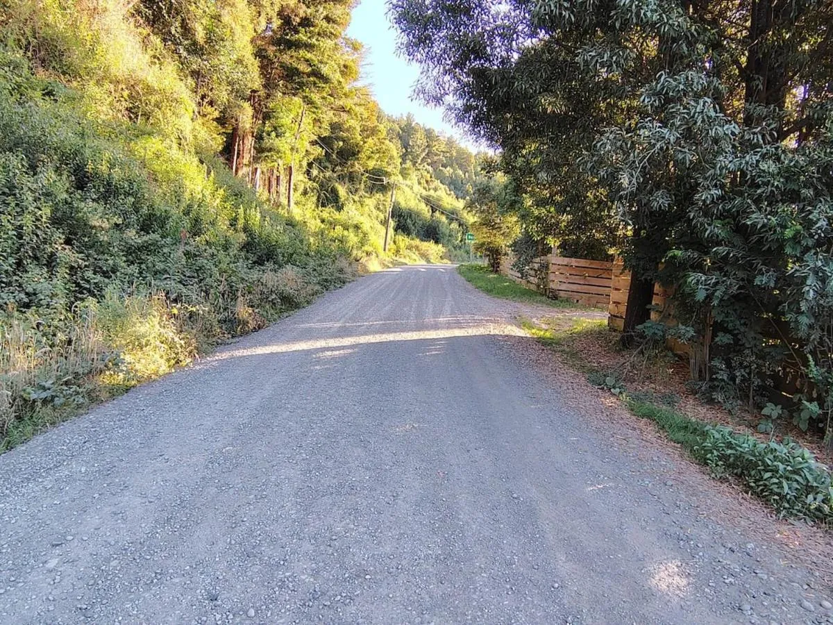 Cabaña Valdivia - Foto 3