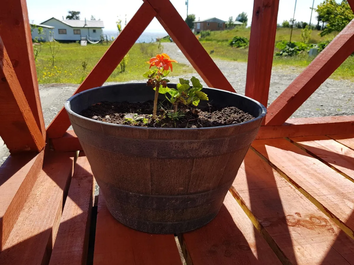 Cabañas Agua Viva - Foto 3