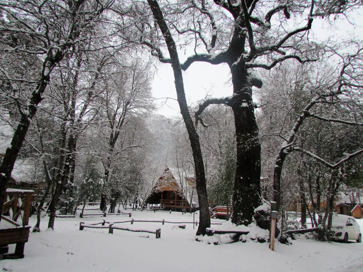 Cabañas Bafemadi, Las Trancas - Foto 3