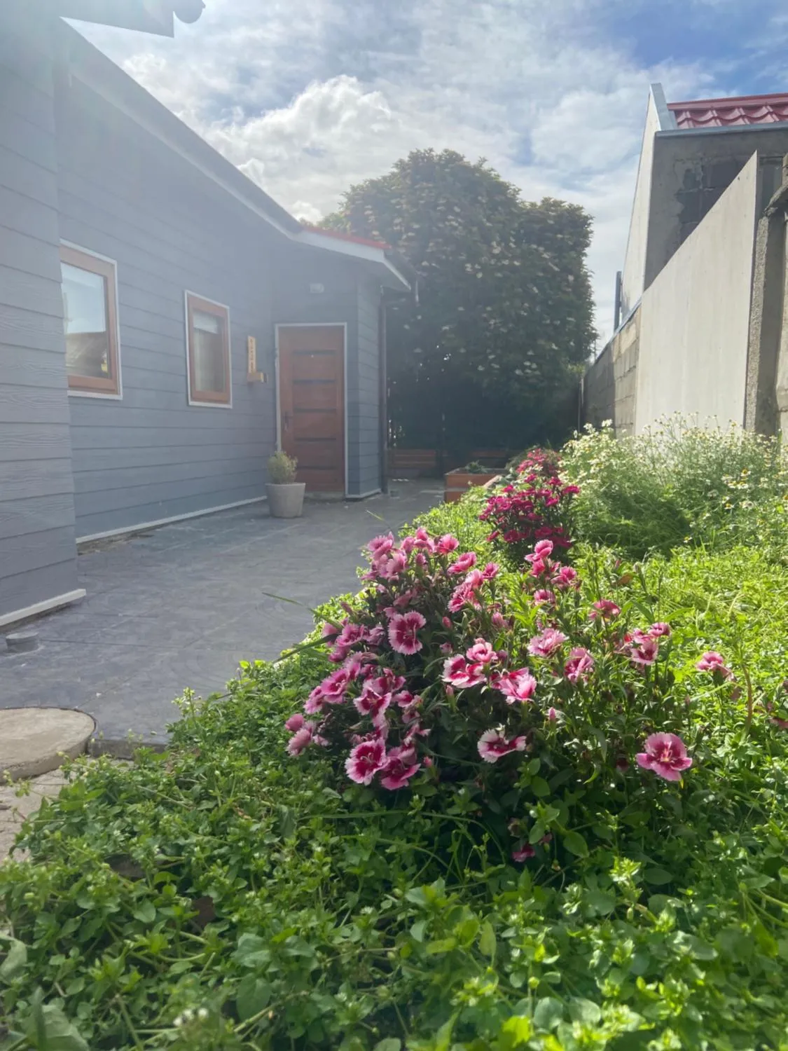 Cabañas Bosque Austral - Foto 3