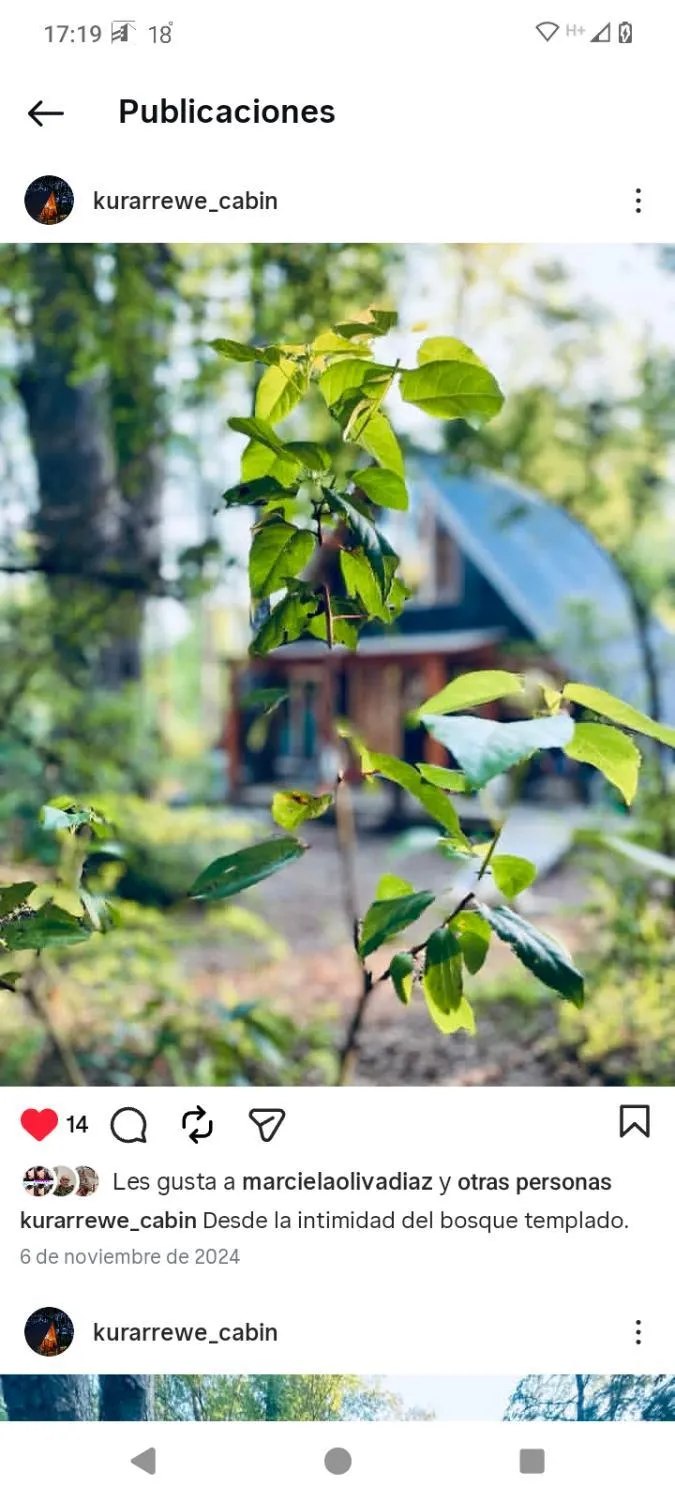 Cabañas Bosque Sur, Curarrehue - Foto 2