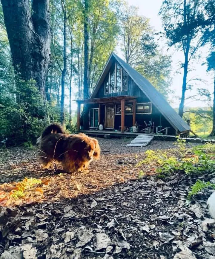 Cabañas Bosque Sur, Curarrehue - Foto 3