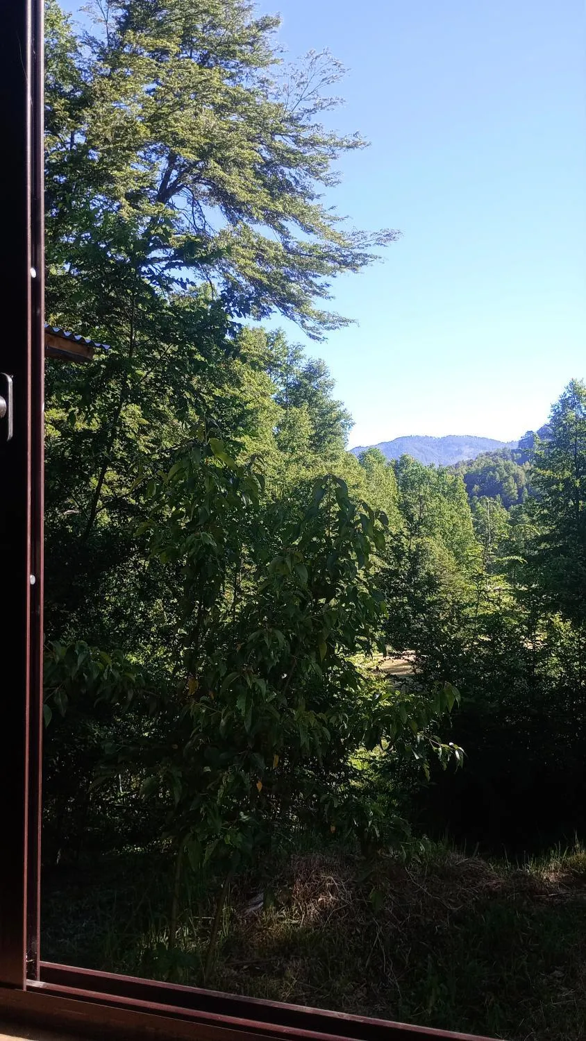 Cabañas Bosque Sur, Curarrehue - Foto 4