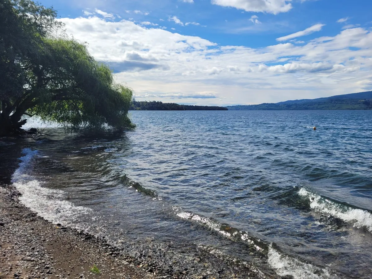 Cabañas Buen Recuerdo (3 dorm), Puyehue - Foto 2