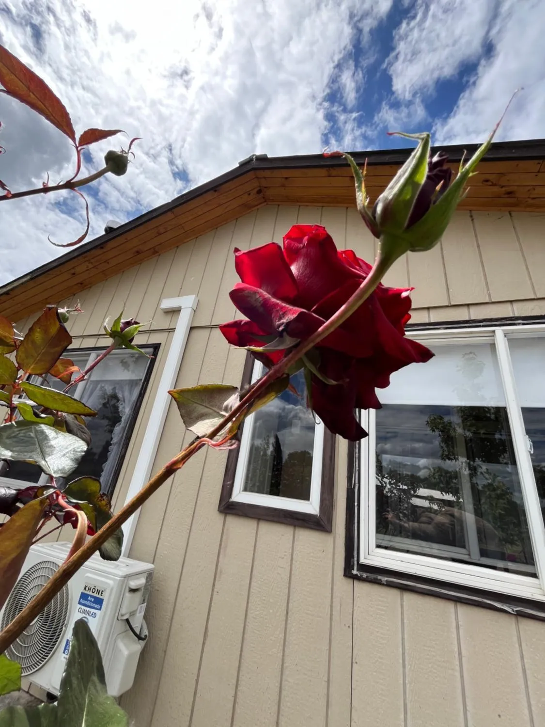 Cabañas Campestres Inés, Chillán - Foto 4