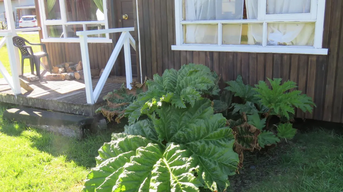 Cabañas Campestres Villarrica - Foto 2