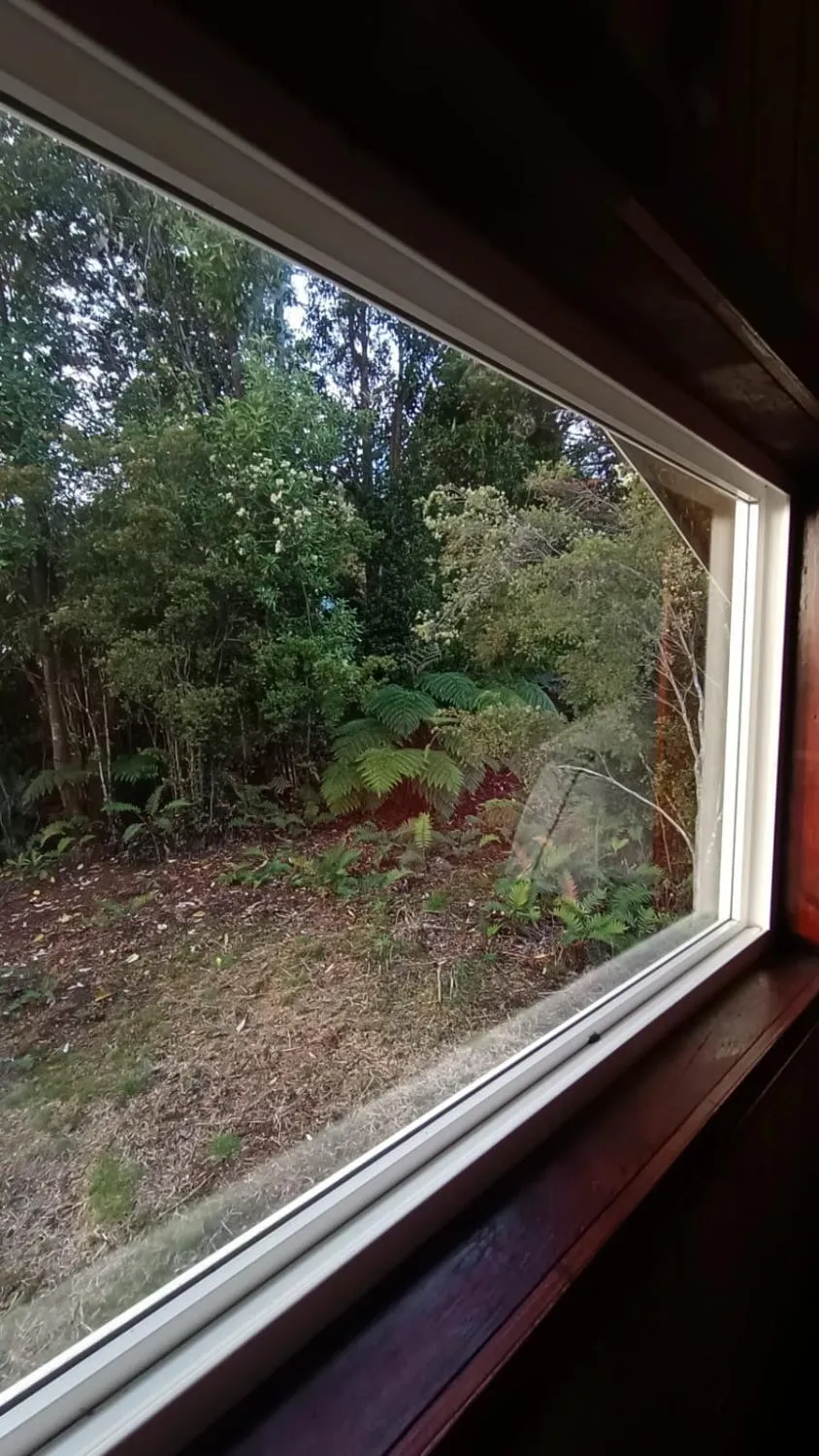 Cabañas CyG, Chaitén - Foto 2