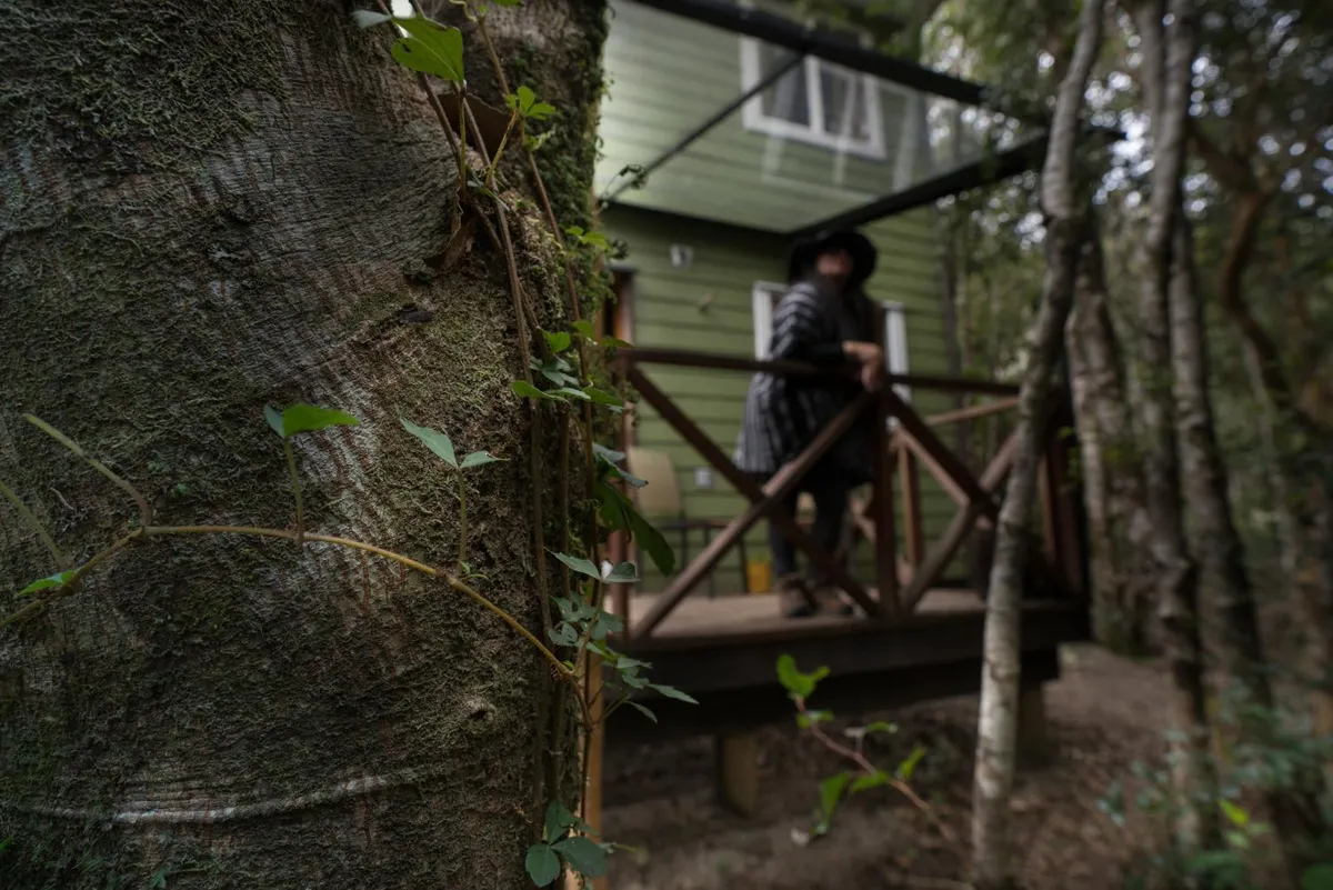 Ensenada Bosque Nativo - Foto 2