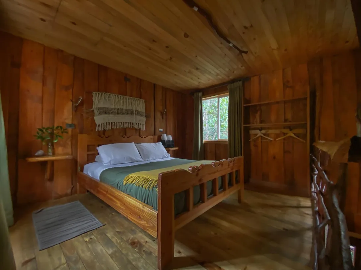 Ensenada Bosque Nativo - Foto 3