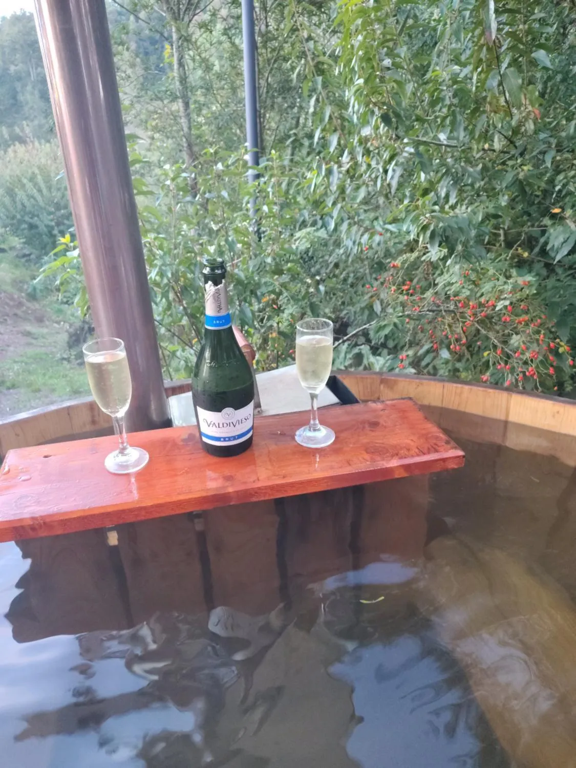 Cabañas Entrelagos - Naturaleza , parrilla y tranquilidad cerca de Huilo -Huilo - Foto 4