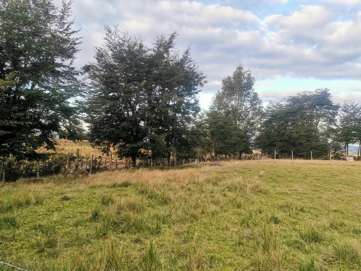 Altos de la Chacra, Castro - Foto 4