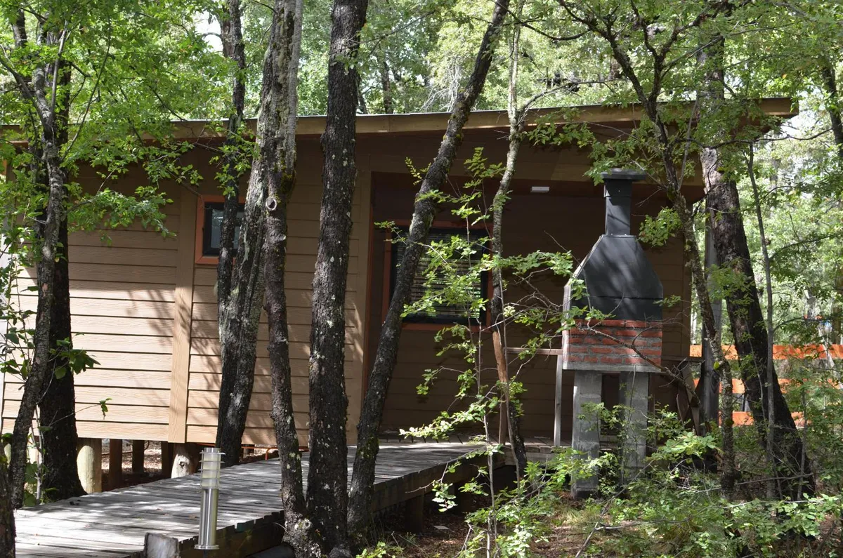 Cabañas La posada del Valle - Foto 4