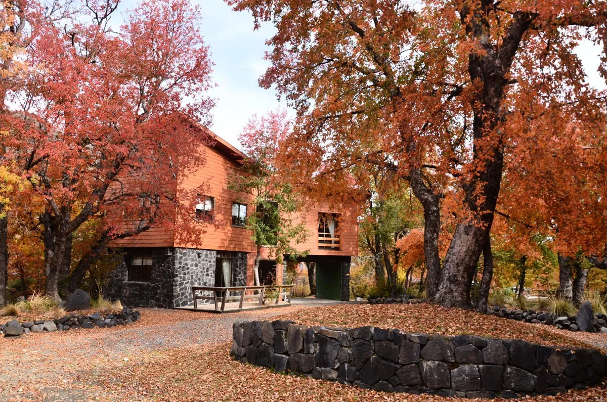 Cabañas Las Cabras en Las Trancas - Cabaña para 6 personas