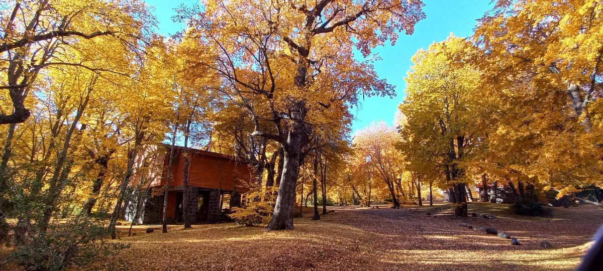 Cabañas Las Cabras - Foto 4