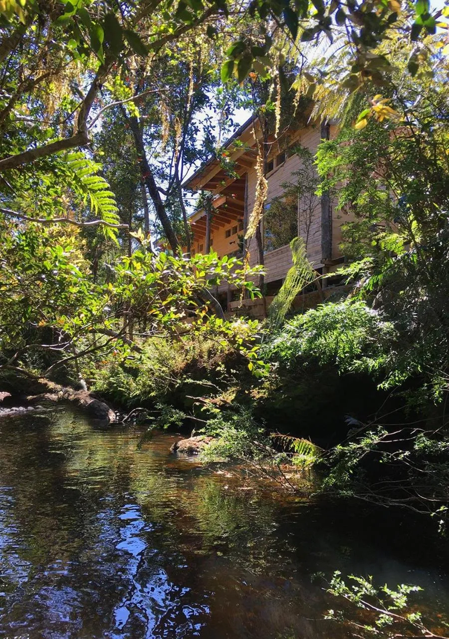 Cabañas Los Cantos del Chucao - Foto 2
