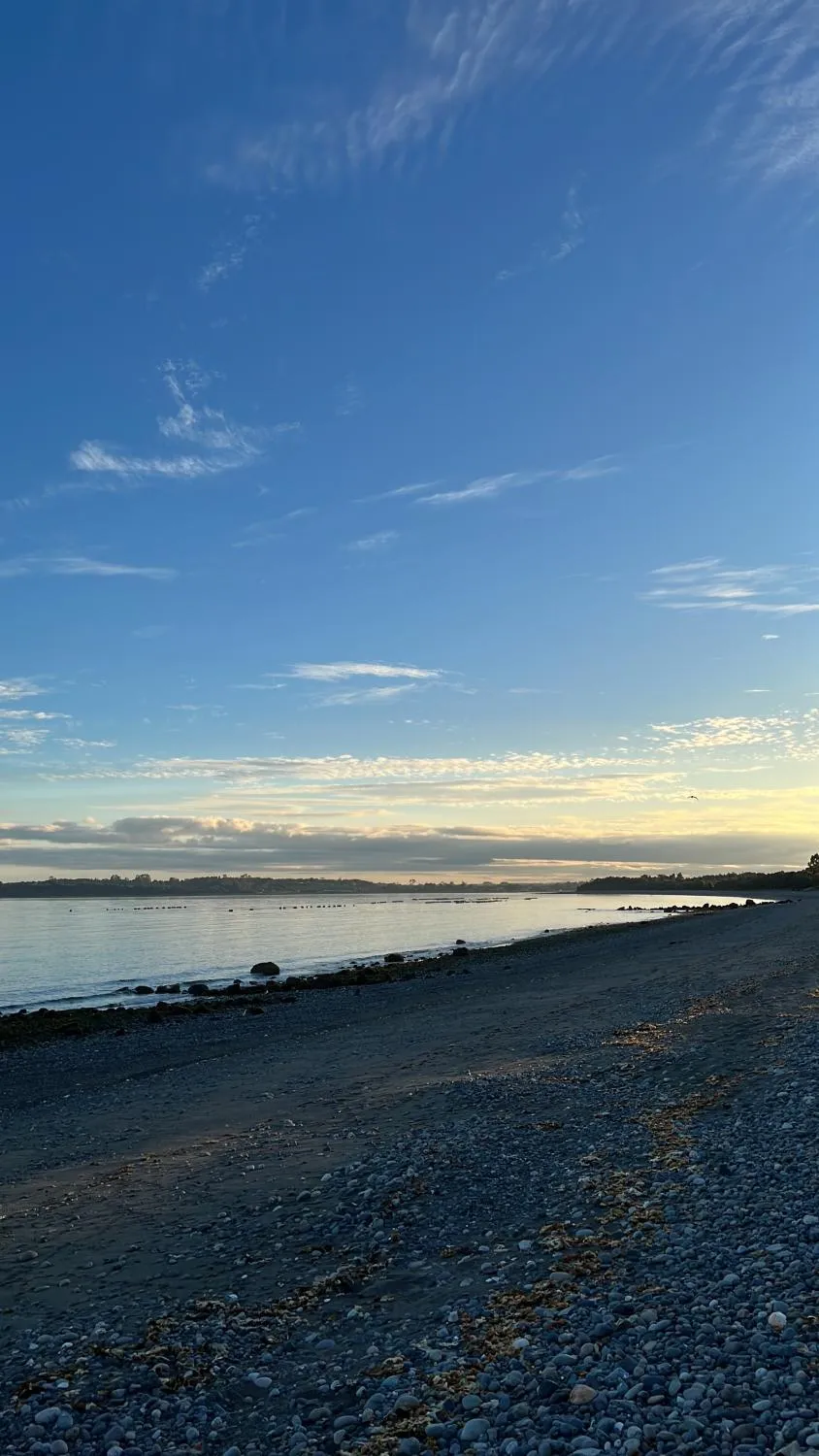 Cabañas Los Queltehues, Chacao - Foto 3