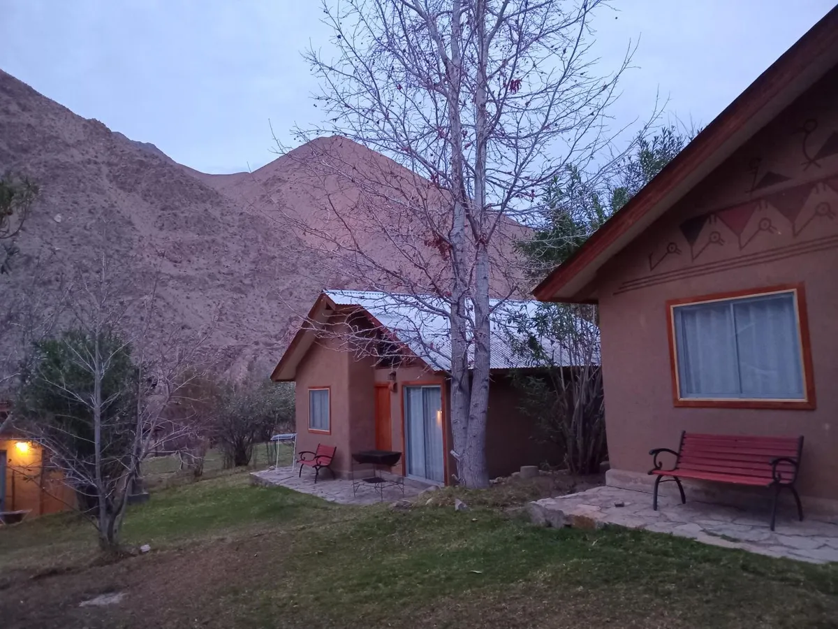 Los Sauzales del Elqui, Pisco Elqui - Foto 3