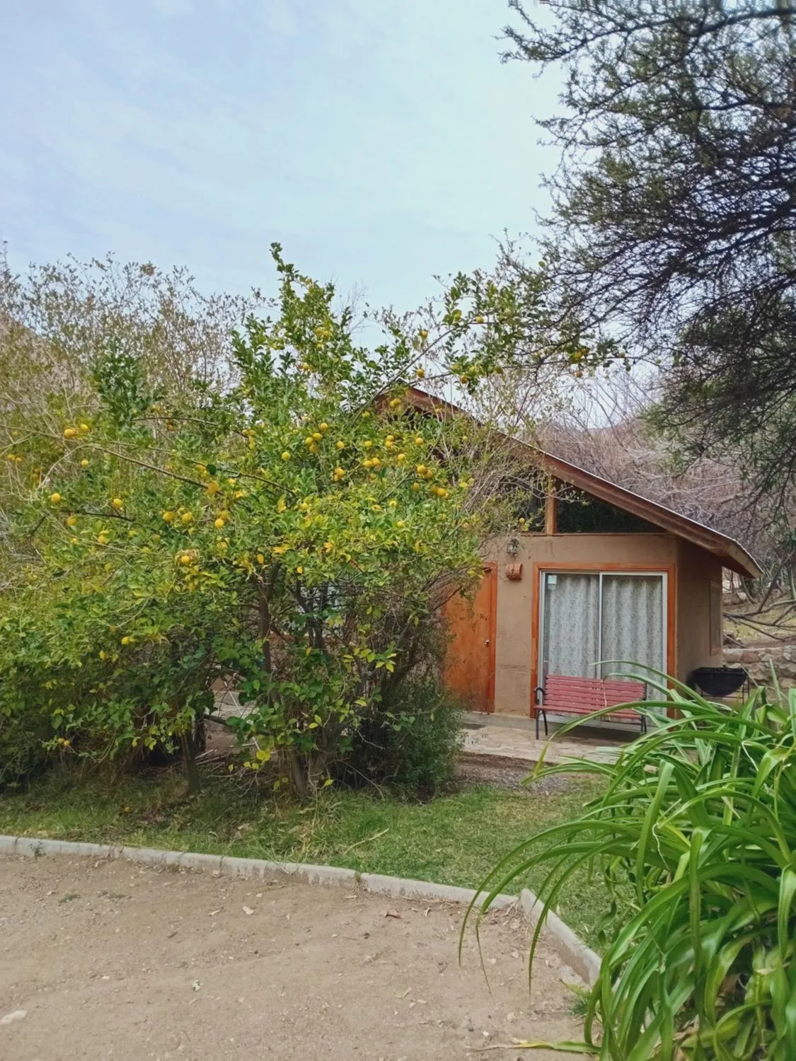 Los Sauzales del Elqui, Pisco Elqui - Foto 4