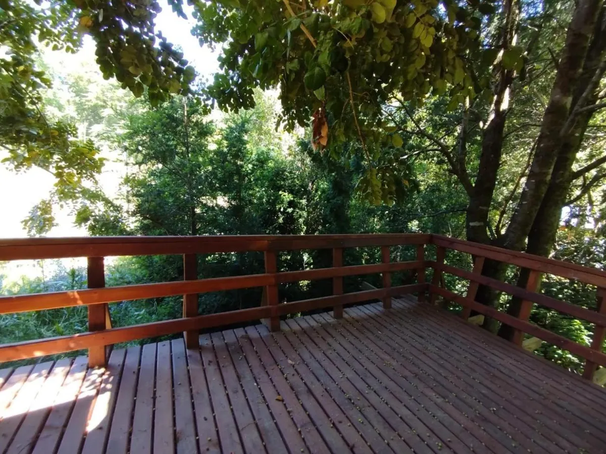 cabañas mañio melipeuco - Foto 2