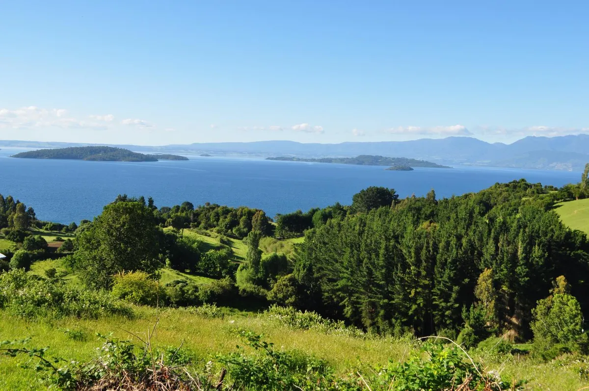Cabañas Mirador Lago Ranco - Foto 4