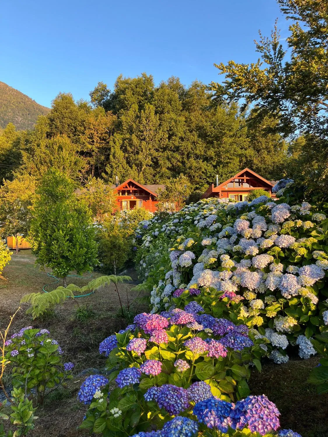 Cabañas Mis Raíces, Futrono - Foto 4
