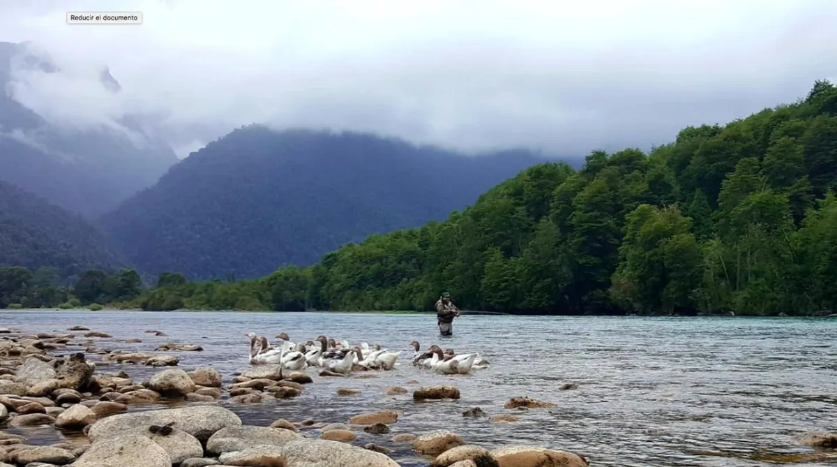 Cabañas Nutrias Patagónicas, Puelo - Foto 2