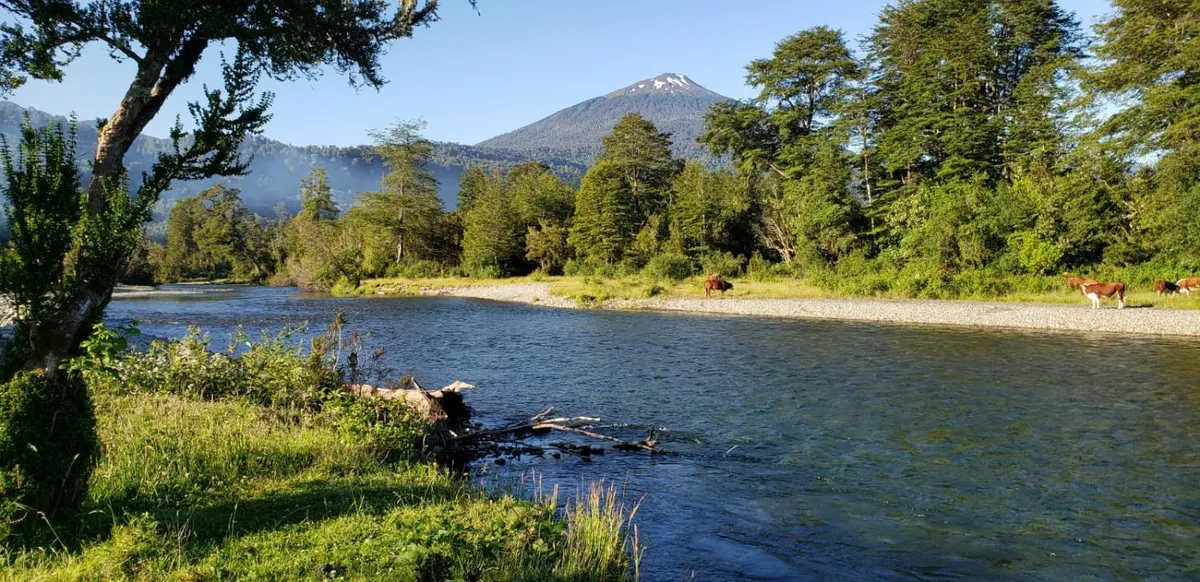P y R Los Canelos, Hornopirén - Foto 2